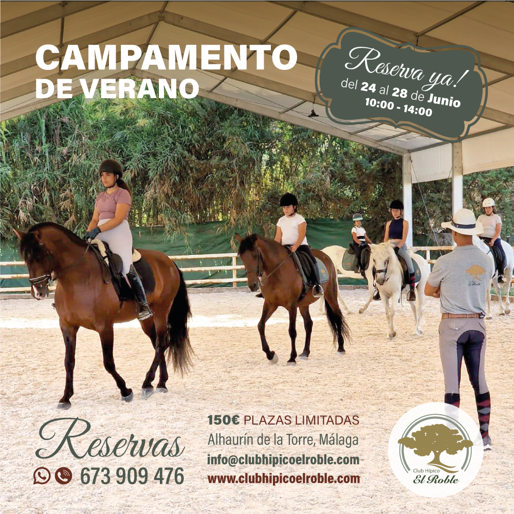 Campamento de verano 2024