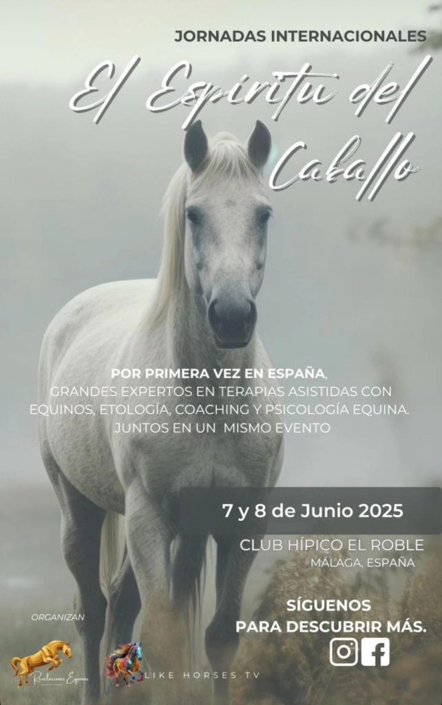 Jornadas Internacionales 7 y 8 de Junio