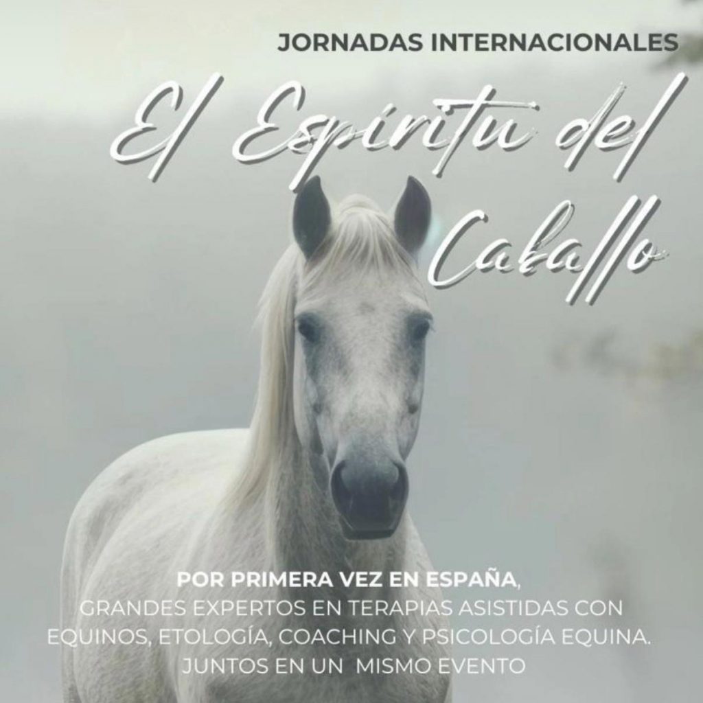 Jornadas Internacionales 7 y 8 de Junio