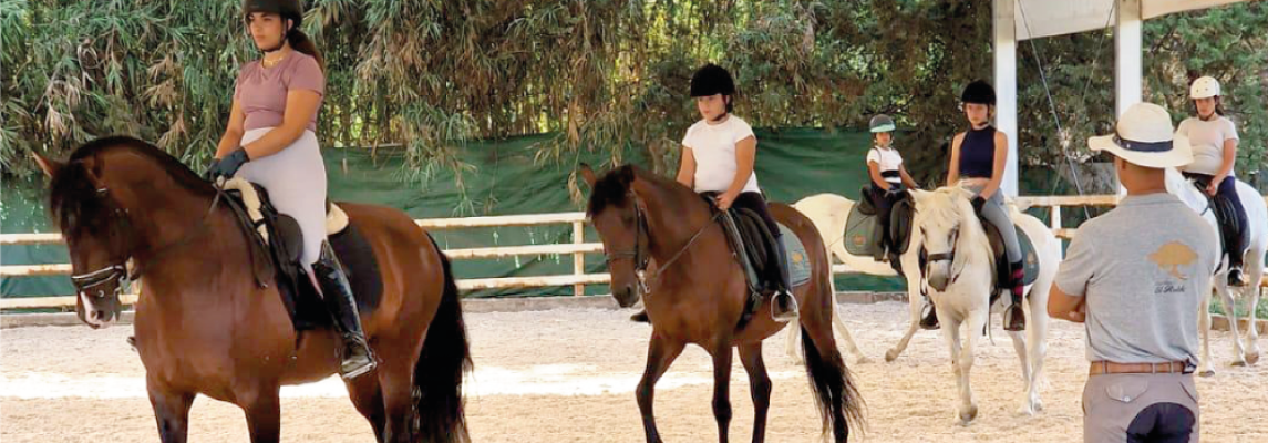 Campamento de verano 2024