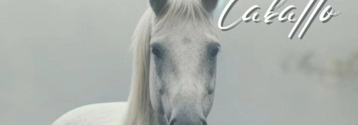 Jornadas Internacionales 7 y 8 de Junio