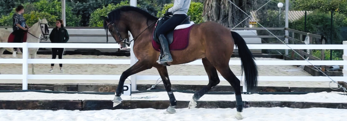 slider-03-club-hipico-el-roble-alhaurin-malaga